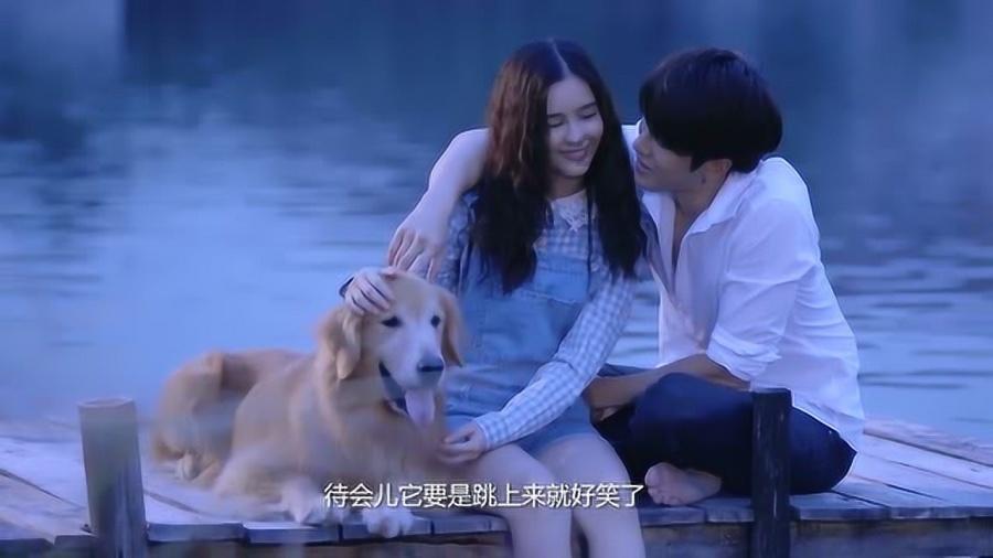 畅谈心声,畅游想看书,又总是看不进去怎么办4招帮你找回读书的感觉?